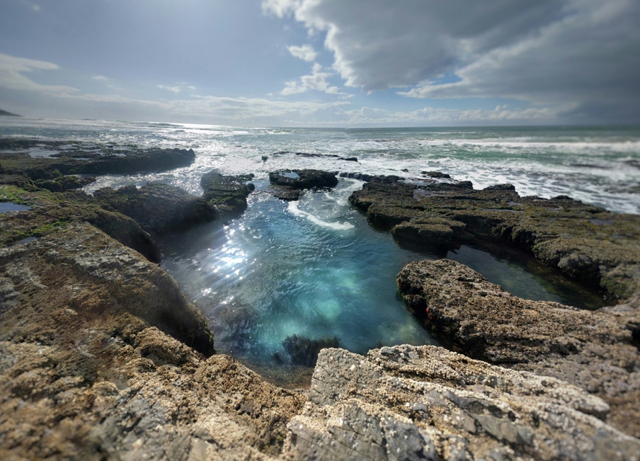 A tidal pool along the coastline